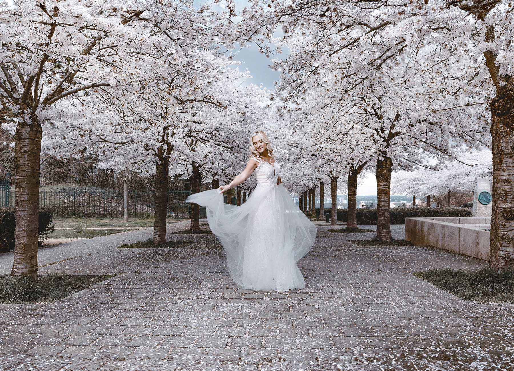 Eva Mikulski en robe de mariée blanche au centre d’une allée bordée de cerisiers en fleurs